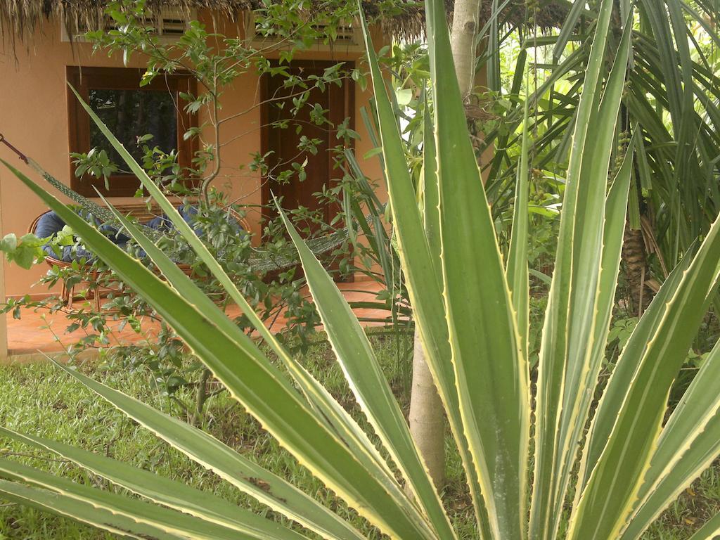 Botanica Hotel Kep Luaran gambar