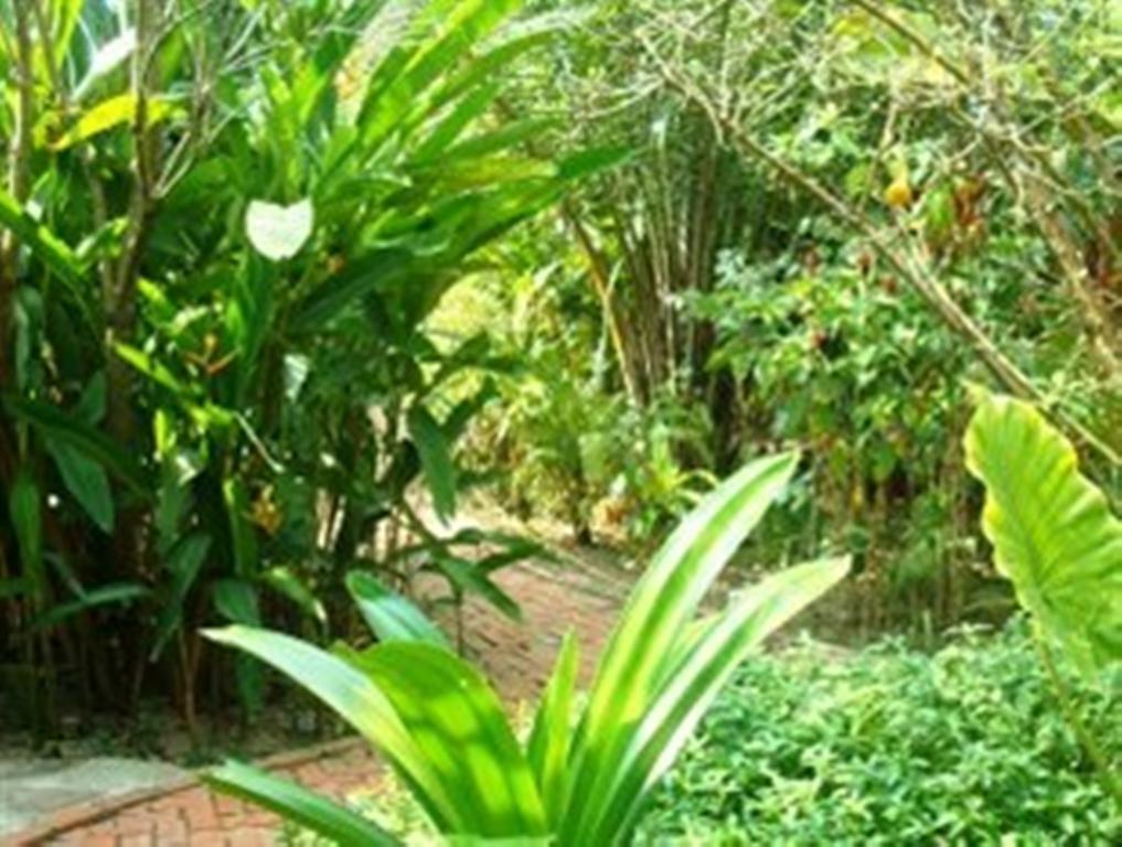Botanica Hotel Kep Luaran gambar
